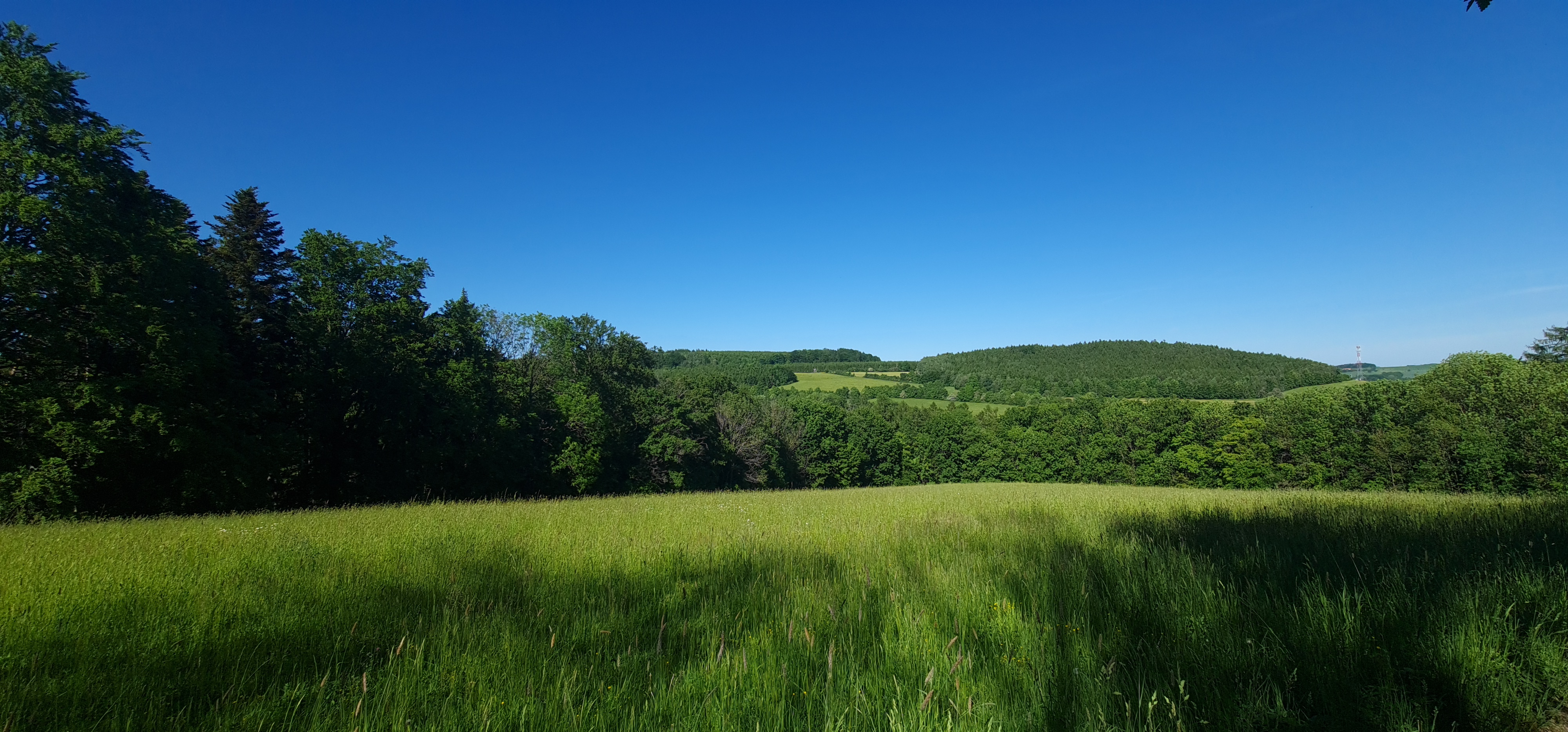 Pohled na Hynčinský hřbet — krajina