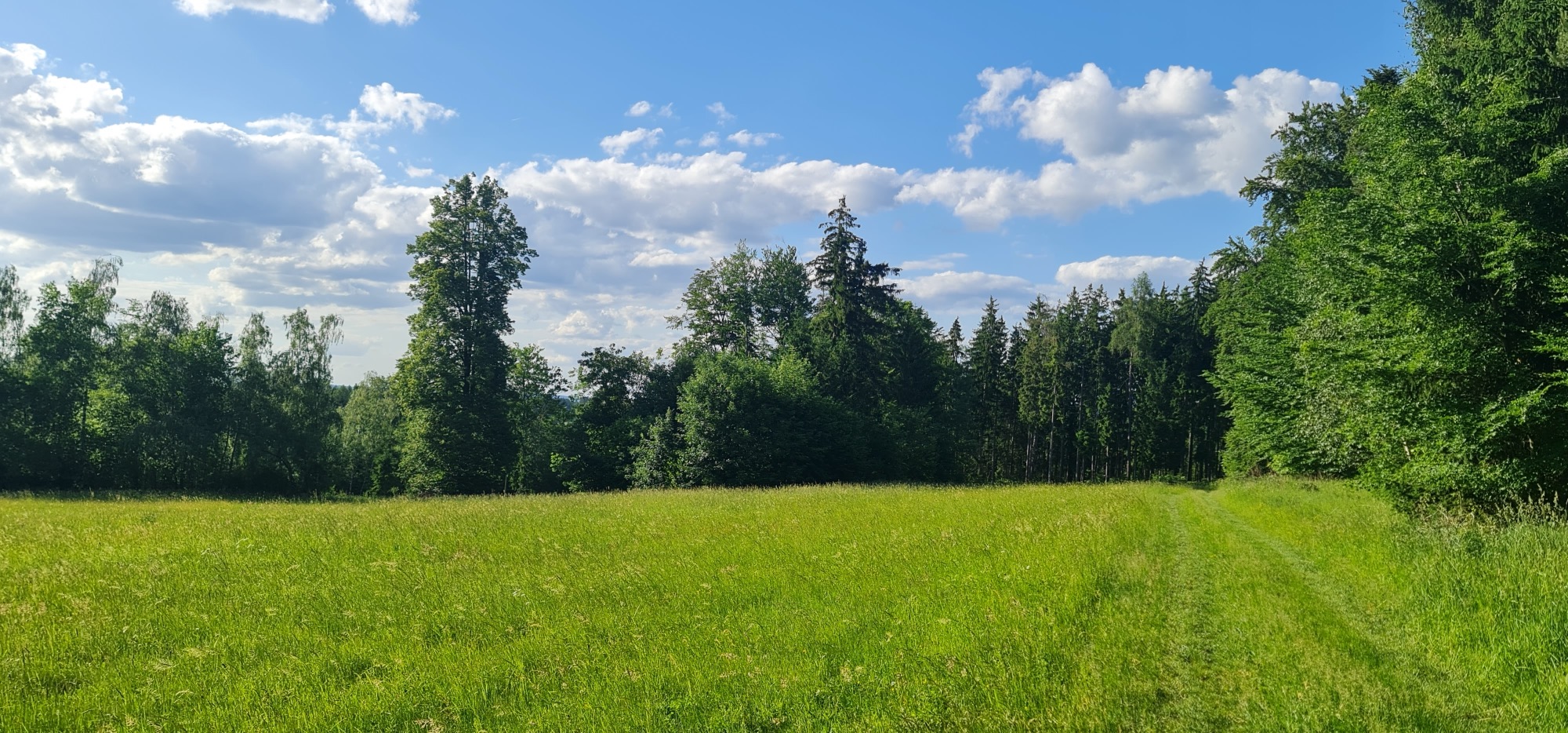 Louka u stanoviště — krajina