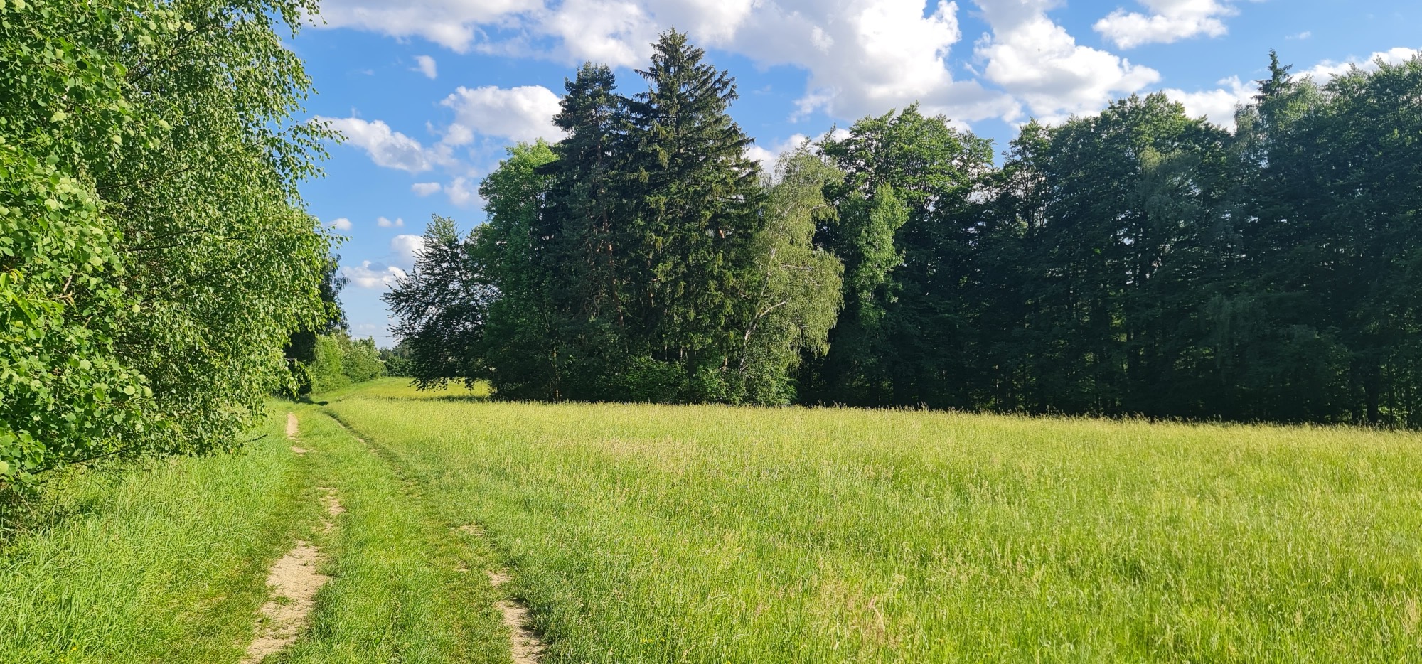 Louka u stanoviště — krajina