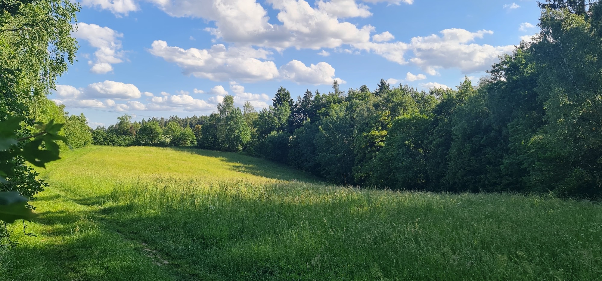 Louka u stanoviště — krajina